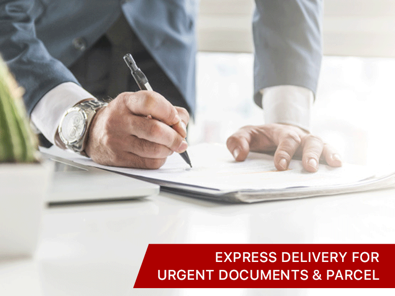 Express Delivery for Urgent Documents & Parcel